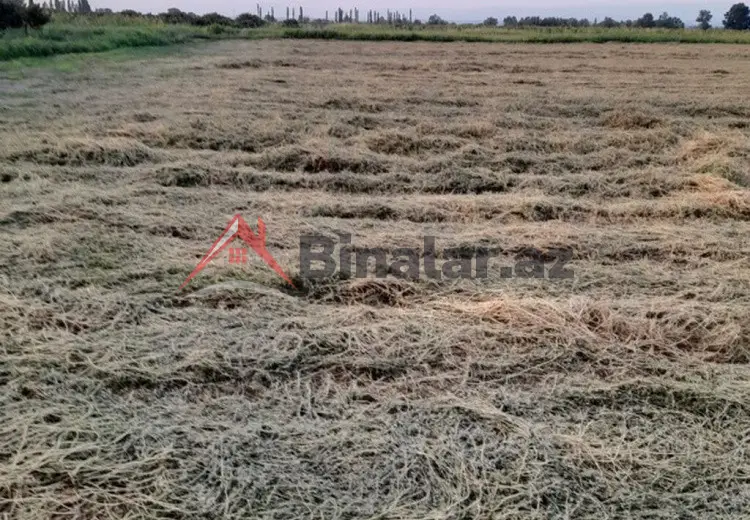 250 sot Torpaq Satılır, Gəncə