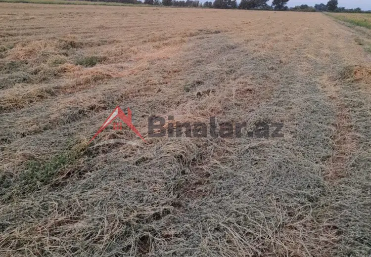 250 sot Torpaq Satılır, Gəncə