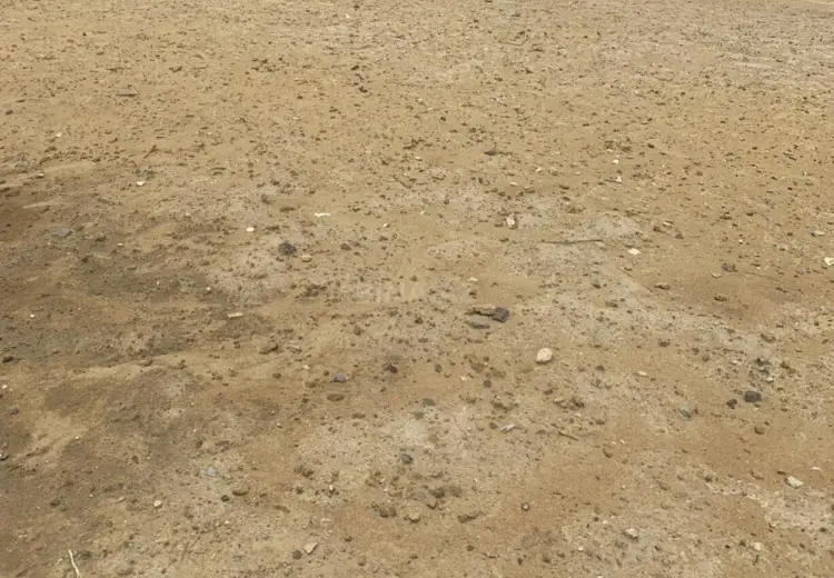 8 sot Torpaq Satılır, Abşeron