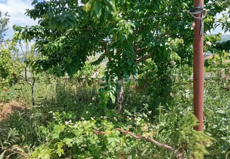 3 otaqlı mənzil , Şamaxı