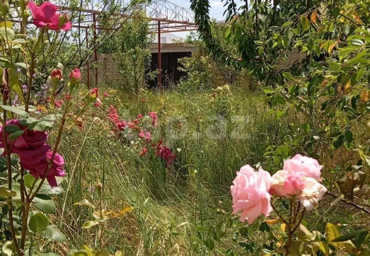 3 otaqlı mənzil , Şamaxı