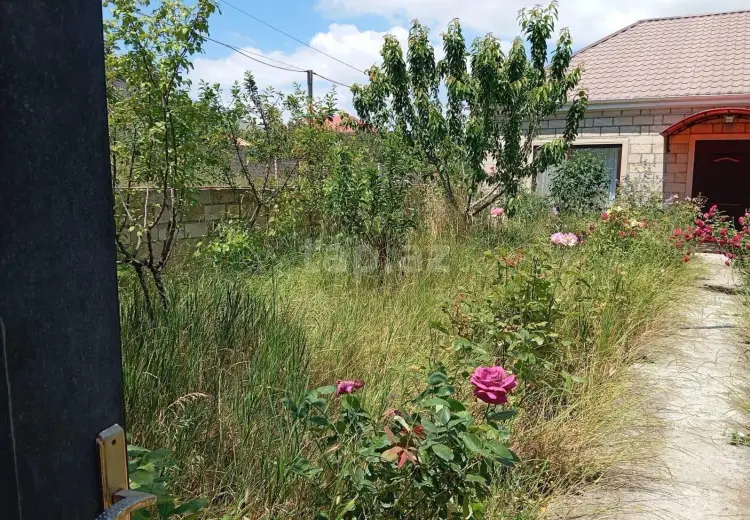 3 otaqlı mənzil , Şamaxı