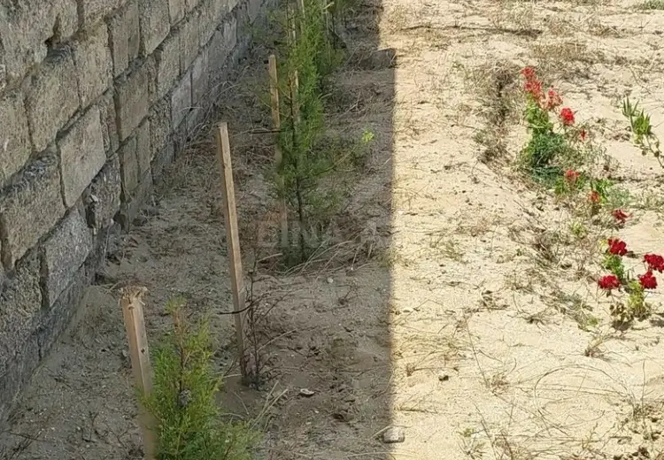 12 sot Torpaq Satılır, Türkan, Xəzər, Bakı