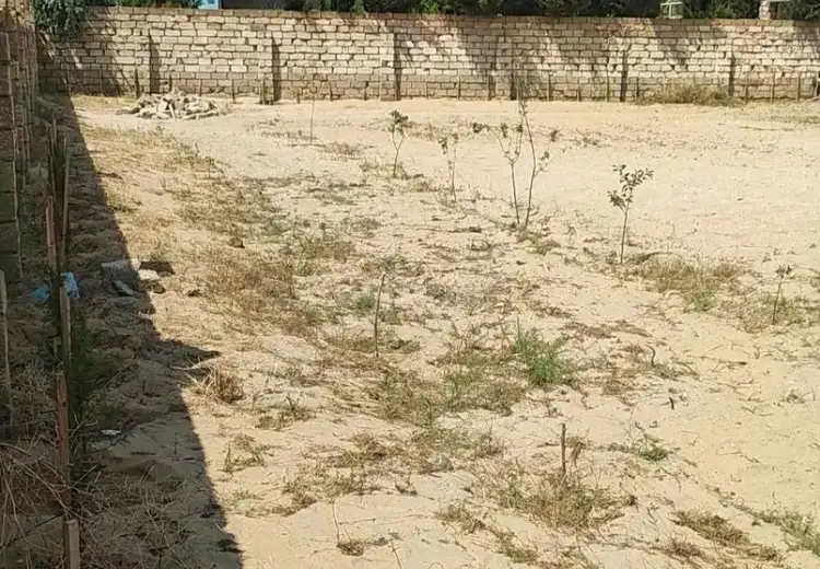 12 sot Torpaq Satılır, Türkan, Xəzər, Bakı