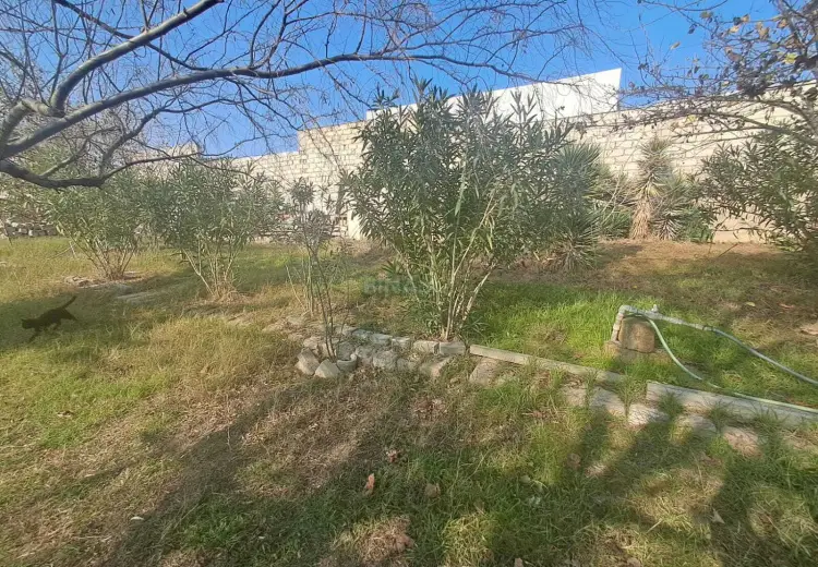 12 sot Torpaq Satılır, Mərdəkan, Xəzər, Bakı