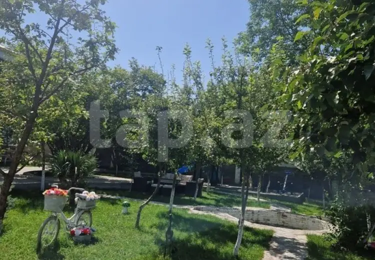 0 m² Obyekt / Ofis , Qəbələ
