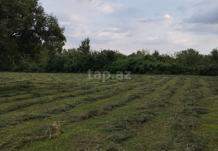 0 m² Obyekt / Ofis , Qəbələ