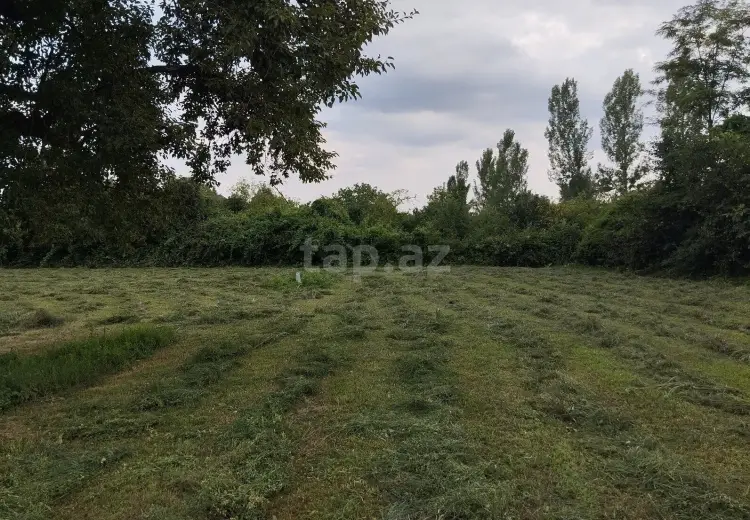 0 m² Obyekt / Ofis , Qəbələ