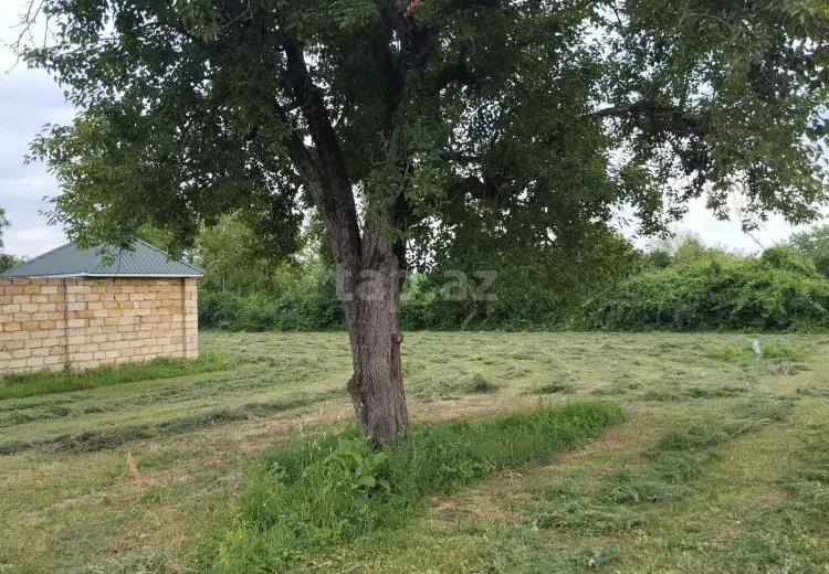 0 m² Obyekt / Ofis , Qəbələ