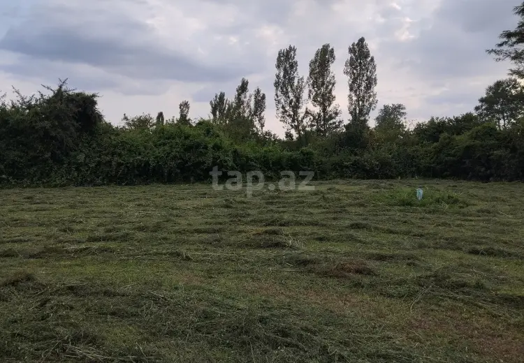 0 m² Obyekt / Ofis , Qəbələ