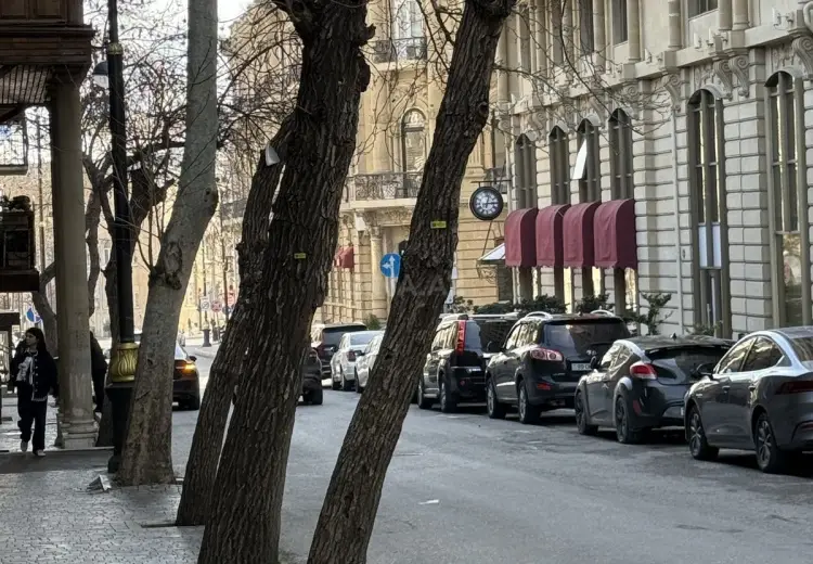 61 m² Obyekt / Ofis Satılır, Səbail, Bakı