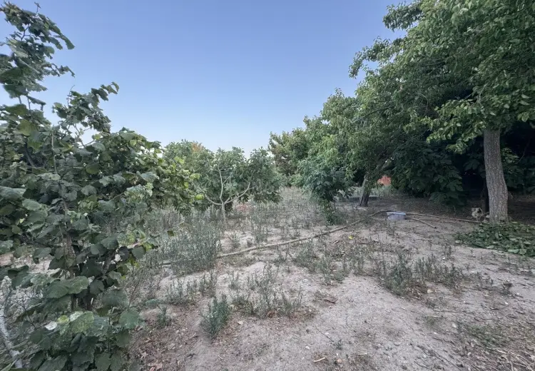 10 sot Torpaq Satılır, Buzovna, Xəzər, Bakı