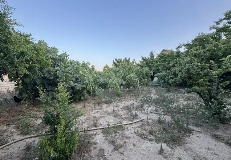 10 sot Torpaq Satılır, Buzovna, Xəzər, Bakı