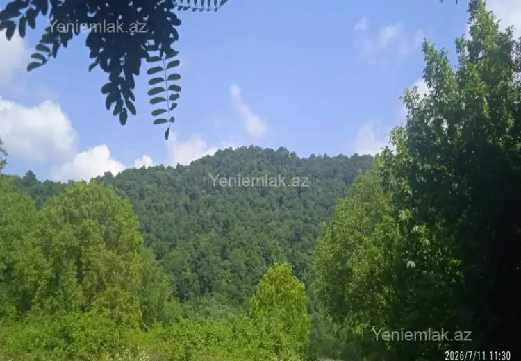 6 sot Torpaq Satılır, Qəbələ