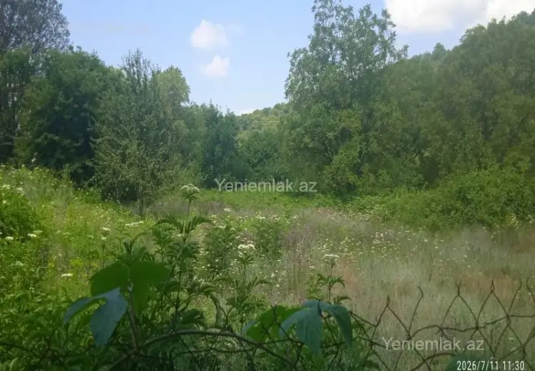 6 sot Torpaq Satılır, Qəbələ