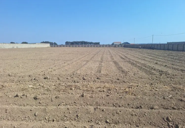 100 sot Torpaq Satılır, Ramana qəs., Sabunçu, Bakı