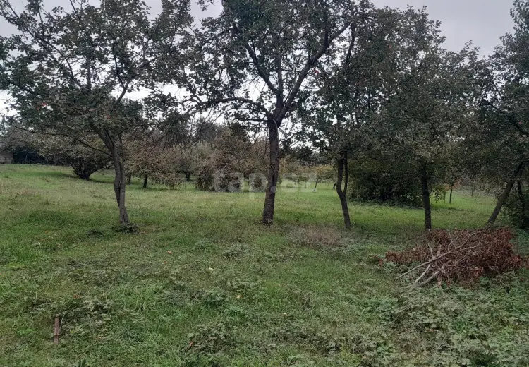 0 m² Obyekt / Ofis , Qusar