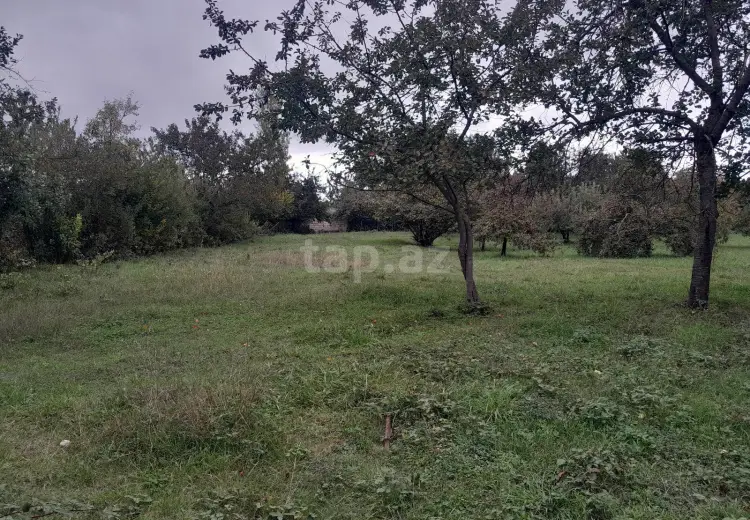 0 m² Obyekt / Ofis , Qusar