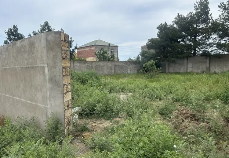 6 sot Torpaq Satılır, Novxanı, Abşeron