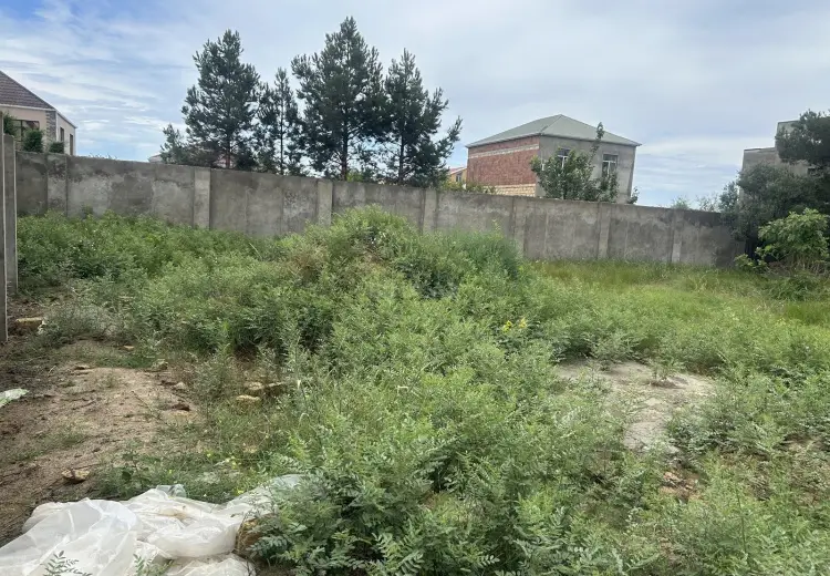 6 sot Torpaq Satılır, Novxanı, Abşeron