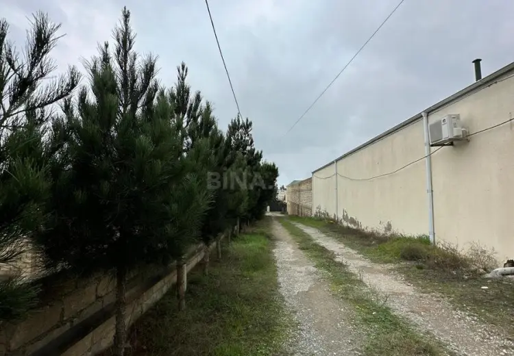 29 sot Torpaq Satılır, Novxanı, Abşeron