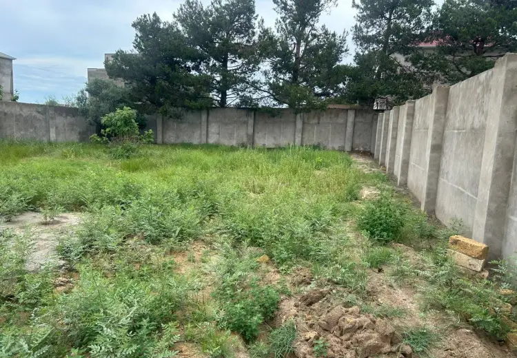 6 sot Torpaq Satılır, Novxanı, Abşeron