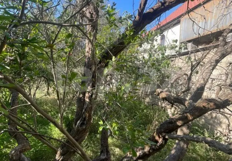 0 m² Obyekt / Ofis , Mərdəkan, Xəzər, Bakı