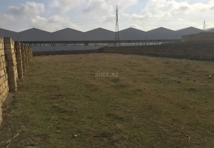 7 sot Torpaq Satılır, Abşeron