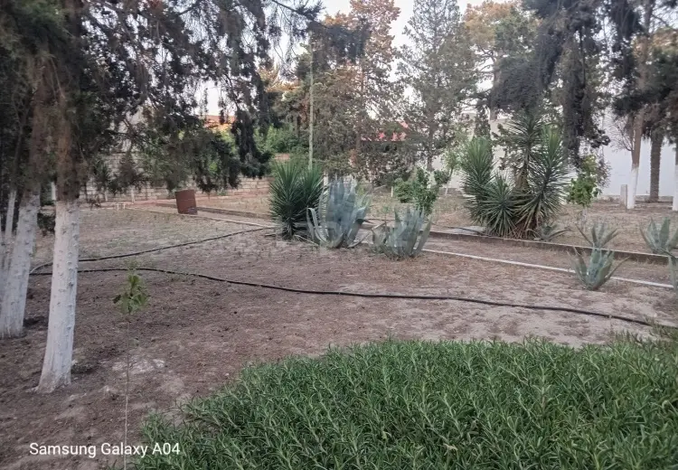 0 m² Obyekt / Ofis , Mərdəkan, Xəzər, Bakı