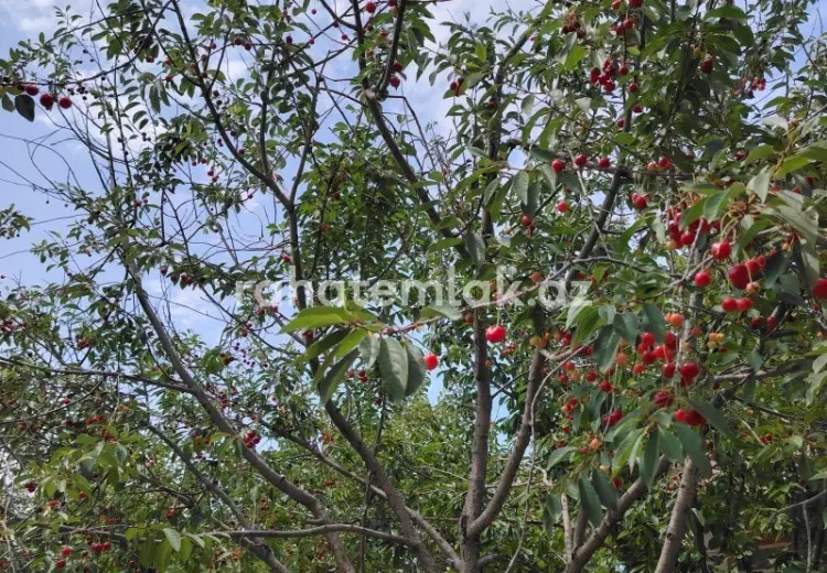 4 otaqlı mənzil Satılır, Bakı