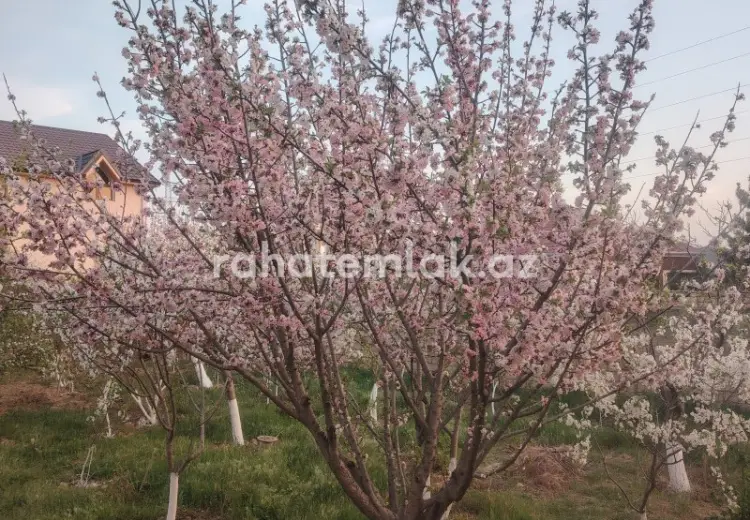 4 otaqlı mənzil Satılır, Bakı