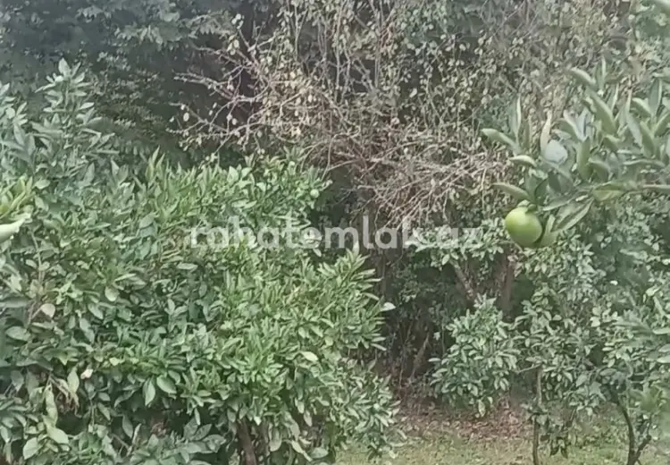 0 sot Torpaq Satılır, Ağstafa