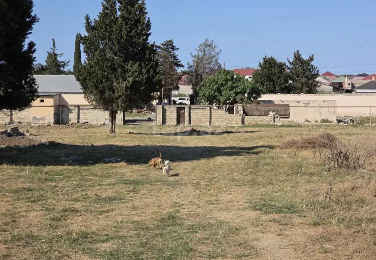 0 m² Obyekt / Ofis , Ramana qəs., Sabunçu, Bakı