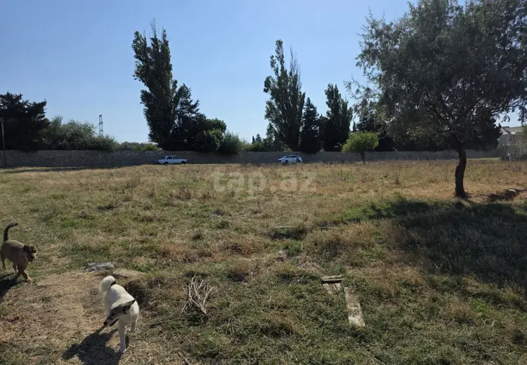 0 m² Obyekt / Ofis , Ramana qəs., Sabunçu, Bakı