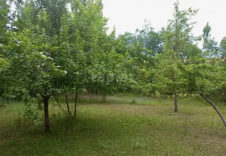0 m² Obyekt / Ofis , Qusar