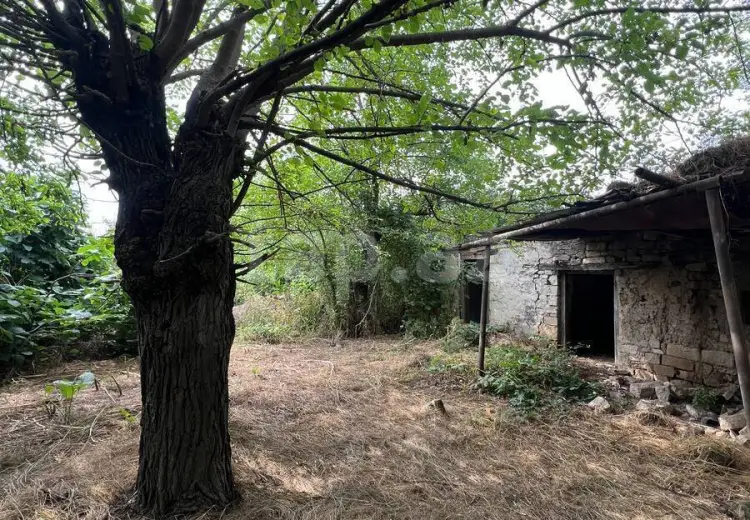 3 otaqlı mənzil , Şamaxı