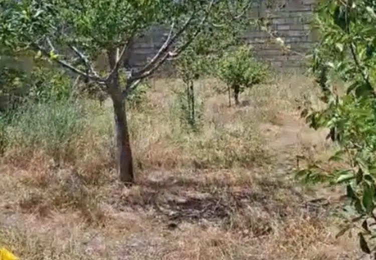 6 sot Torpaq Satılır, Mərdəkan, Xəzər, Bakı