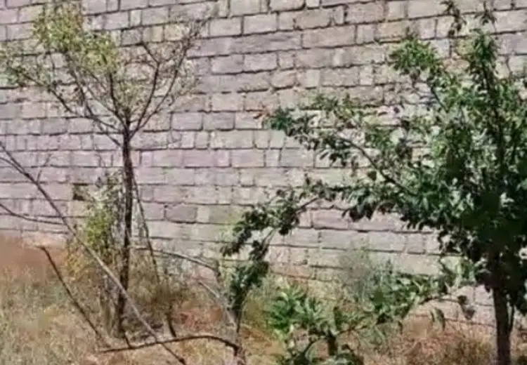 6 sot Torpaq Satılır, Mərdəkan, Xəzər, Bakı