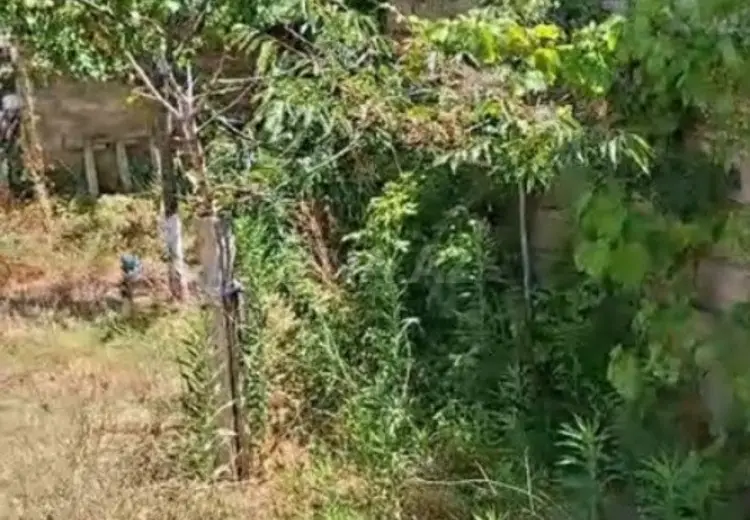 6 sot Torpaq Satılır, Mərdəkan, Xəzər, Bakı