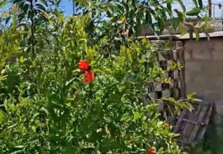 6 sot Torpaq Satılır, Mərdəkan, Xəzər, Bakı