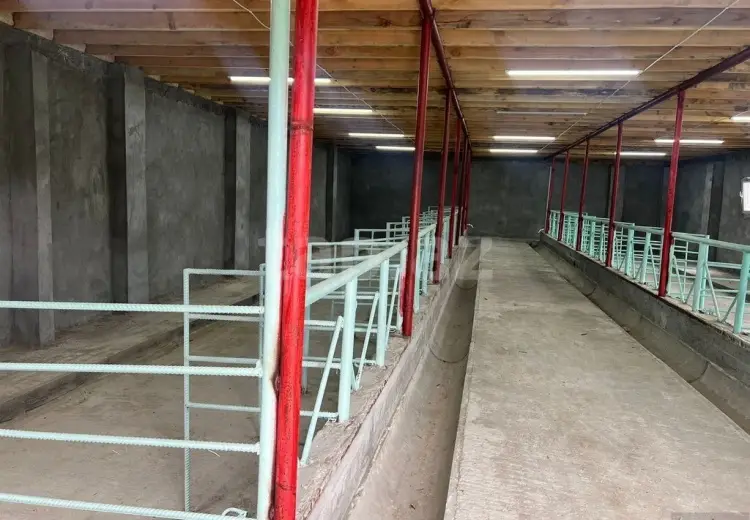 0 m² Obyekt / Ofis , Samux