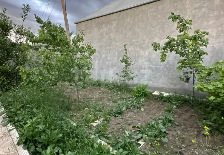 3 otaqlı mənzil , Gəncə
