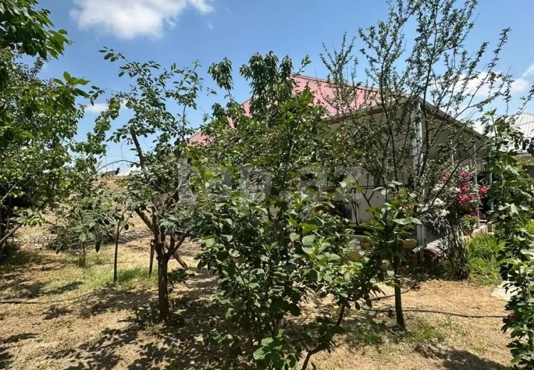 3 otaqlı mənzil , Gəncə