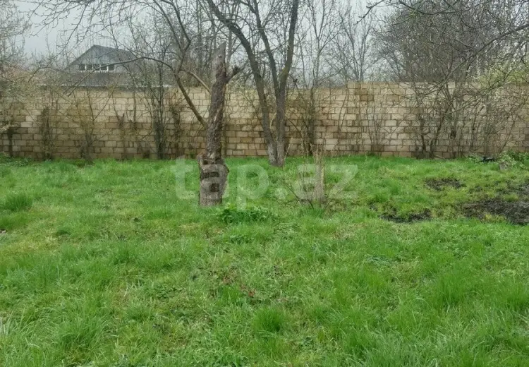0 m² Obyekt / Ofis , Quba