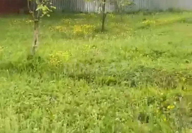 18 sot Torpaq Satılır, Qəbələ