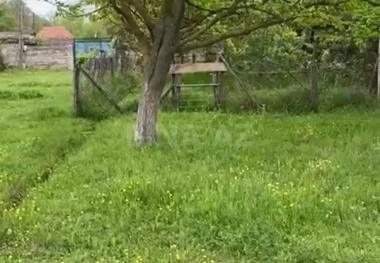 18 sot Torpaq Satılır, Qəbələ