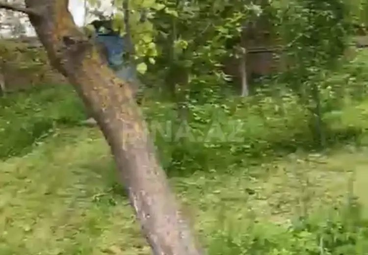 18 sot Torpaq Satılır, Qəbələ