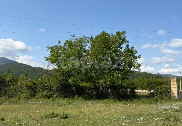 0 m² Obyekt / Ofis , Qəbələ