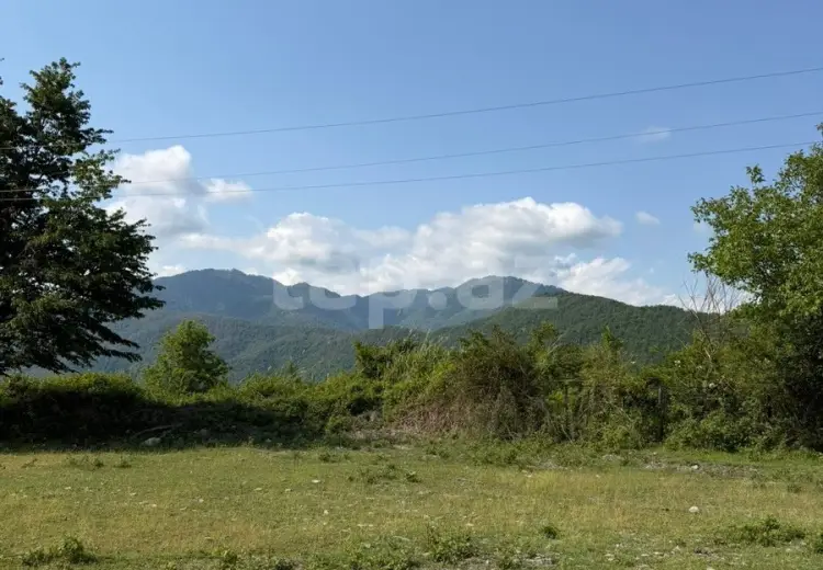 0 m² Obyekt / Ofis , Qəbələ