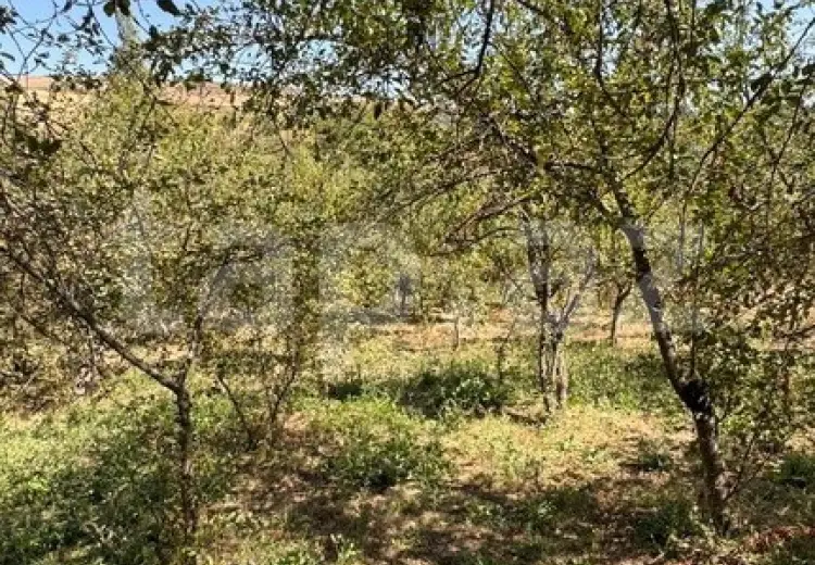 3 otaqlı mənzil , Şamaxı
